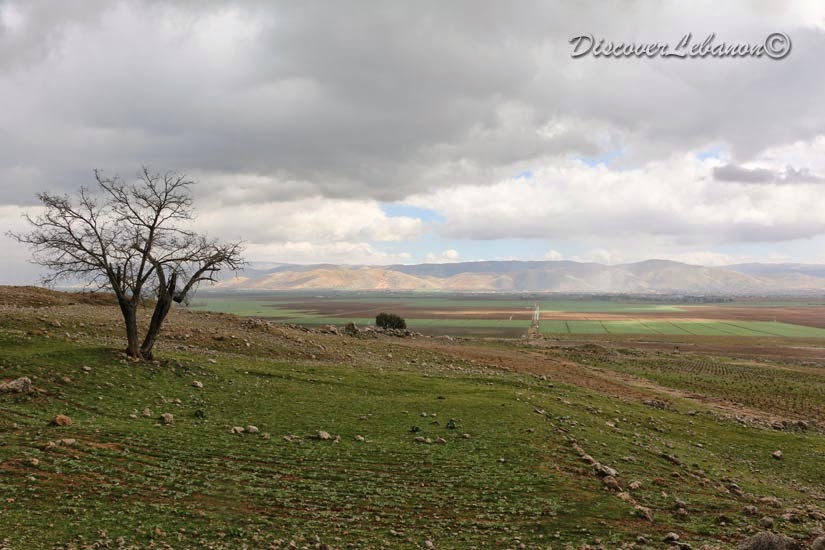 Bekaa Plain