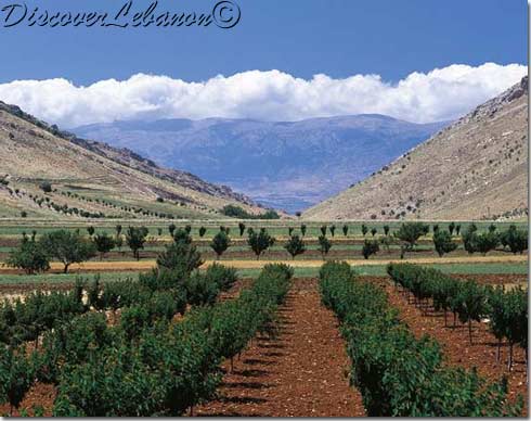 Beqaa valley