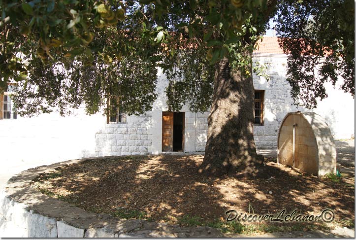 Saint Sauveur Trappistes, Dlebta