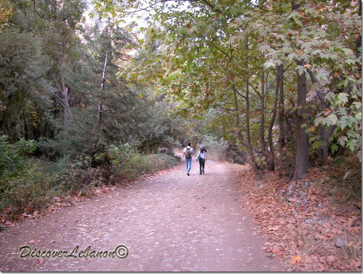 Road in Qanoubin Valley