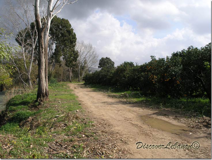 Road near river El Awali