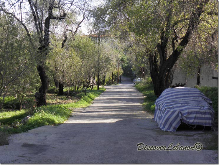 Pittoresque road Fghal