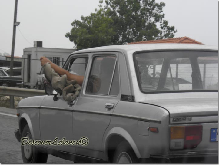 Craziness made Lebanon