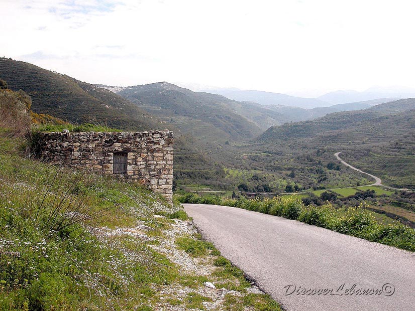 Spring village of Kfar Hazir