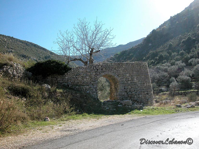 Road while going to Mayfouq