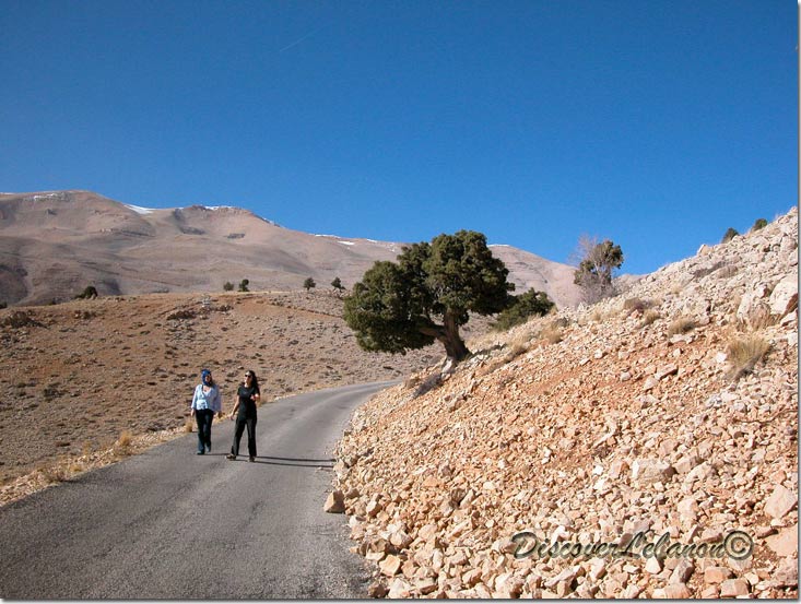 Road in Hioun Orghoch