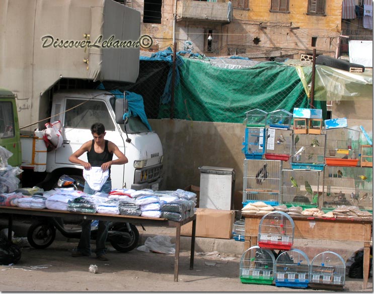 Corner of a Road Tripoli