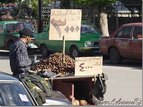 Seller Tripoli
