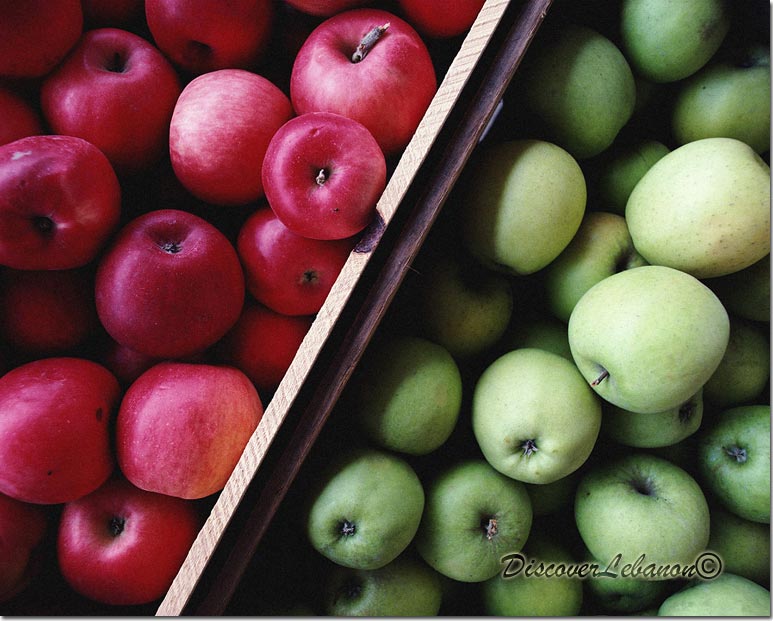 Ying Yang and Apples