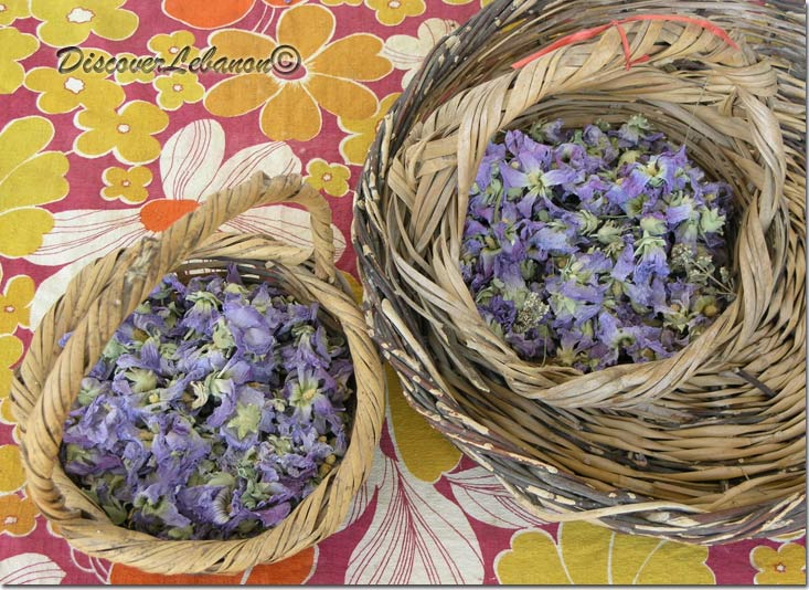 Preparing the infusion