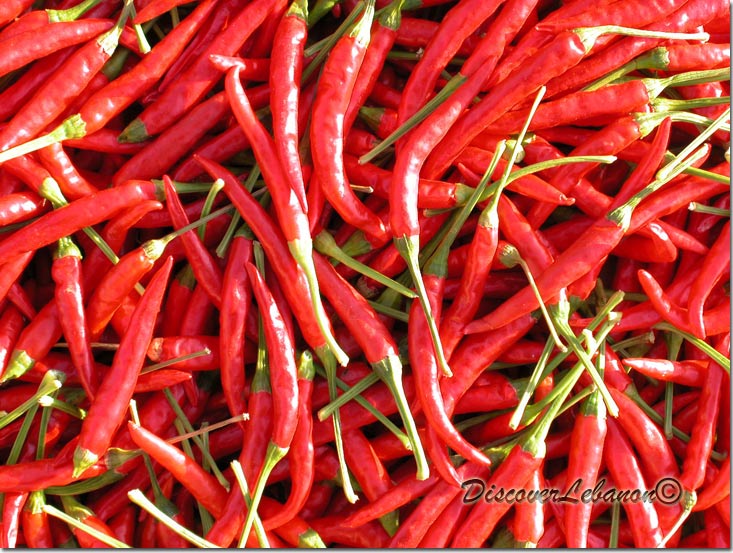 Hot Pepper Lebanon