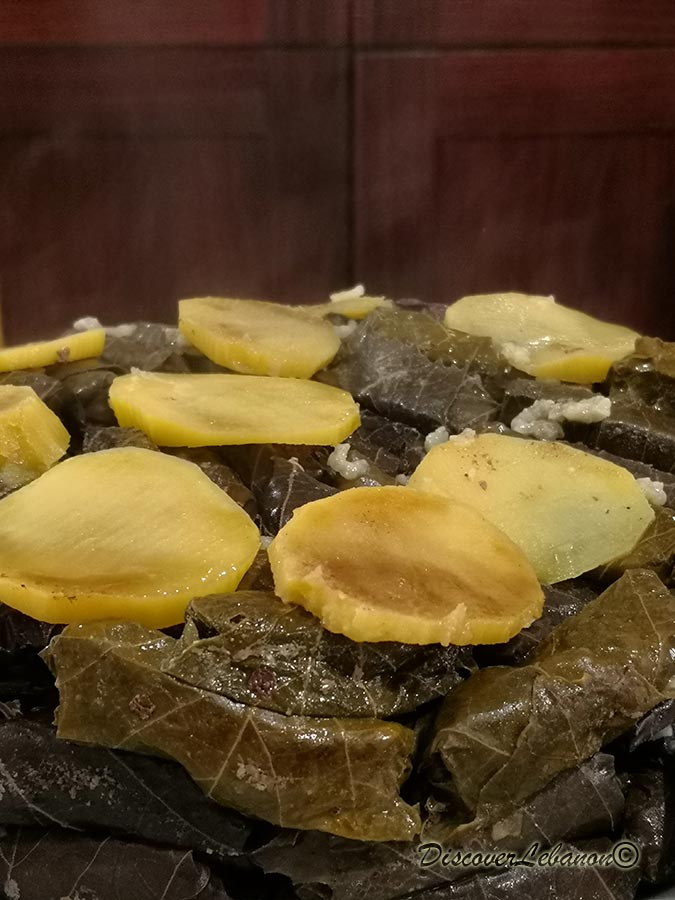 Stuffed grape leaves