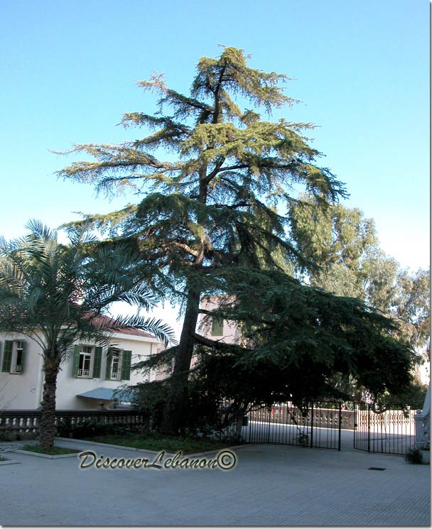 Besancon School Beirut