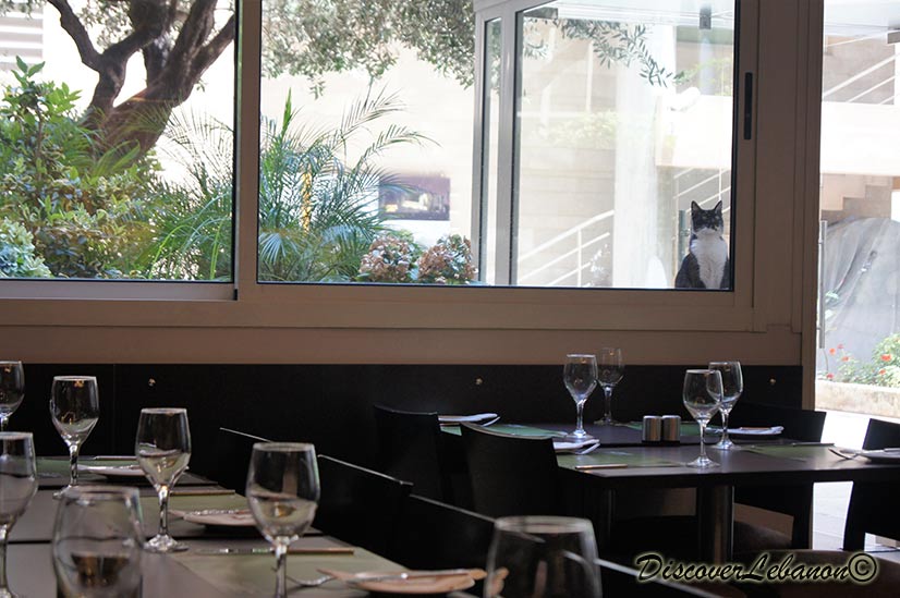 Something hidden inside image