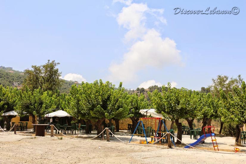 Restaurant Mechmech under the mulberries