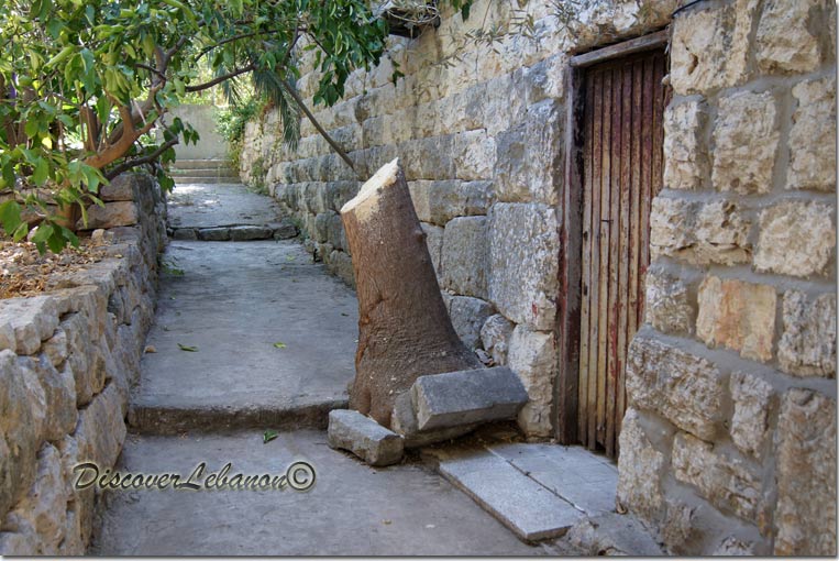 Path in the village of Edde