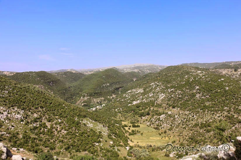 Endless forest above Habil