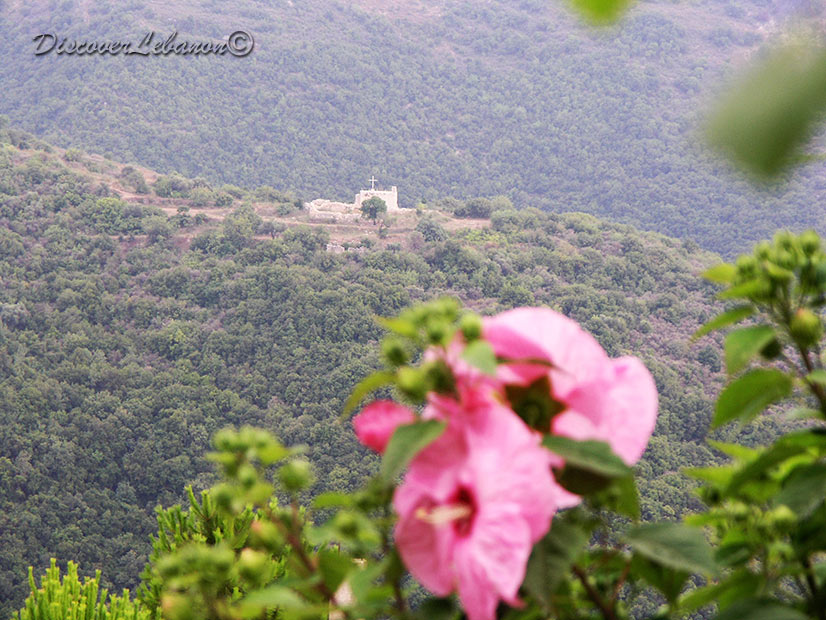 Forest village Meshehlan