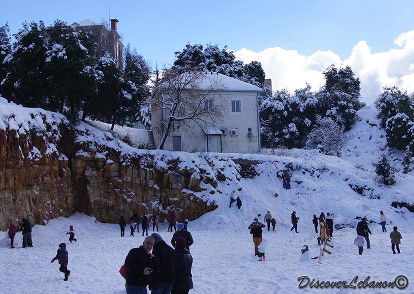 Families playing in snow Aannaya