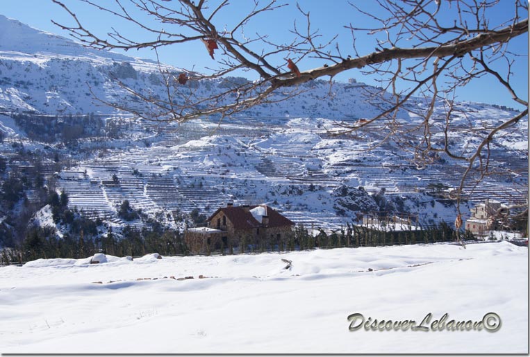 House in Faraya under snow
