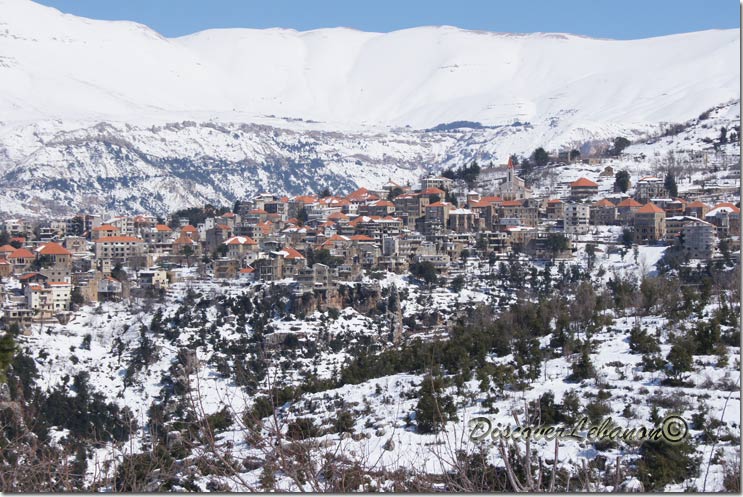 Hassroun under snow