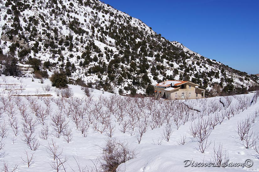 Beautiful house in Laqlouq