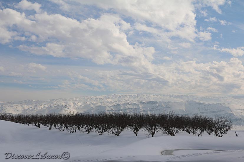 Sannine from Laklouk