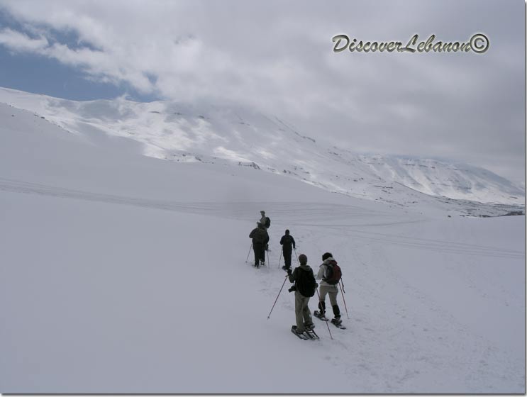 Snowshoeing in Cedars