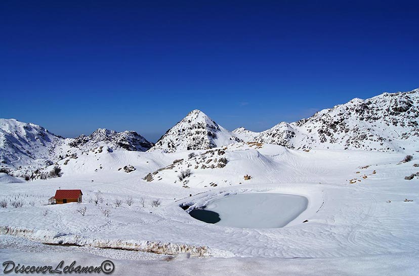 Blue and white Laqlouq