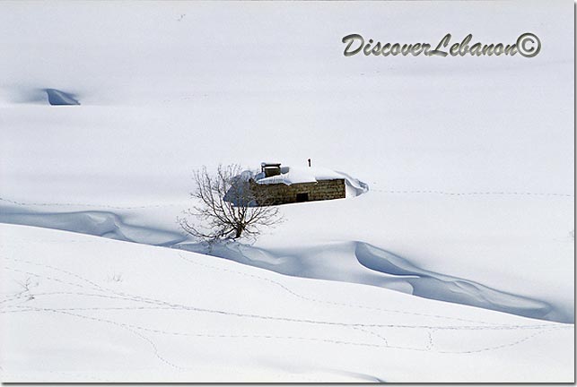 House and Snow