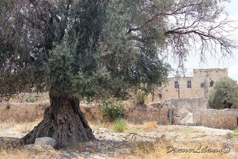 Citadel of Barbar Agha in Iaal
