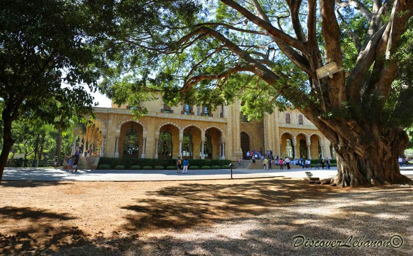 Palace of Pines Beirut