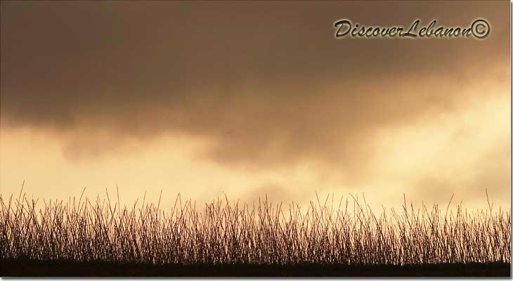 View from Ain El Rihani