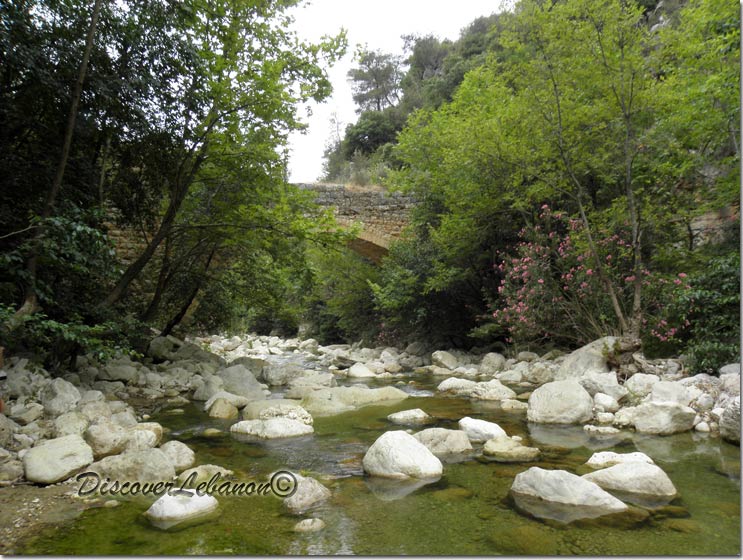 River and bridge Bisri