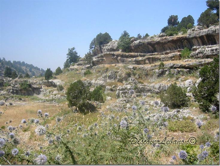 Fields village of Tannourin