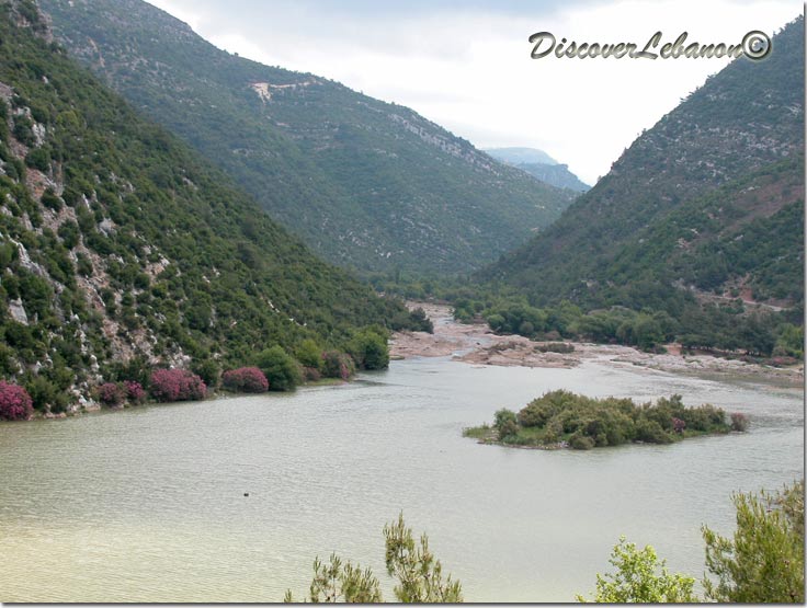 Oyoun el samak, Sir el Dennieh