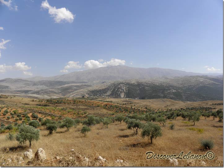 Mount Hermon end September