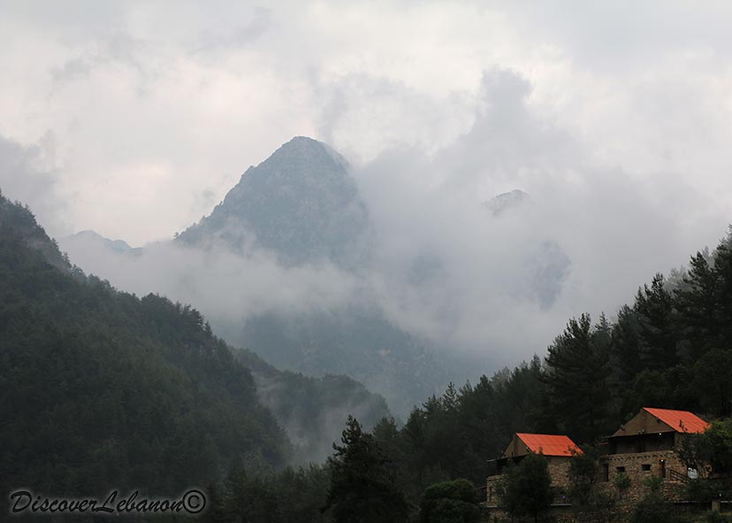 Namroud of Yahchouch