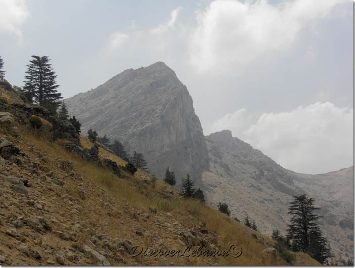 Mountains of Tannourine