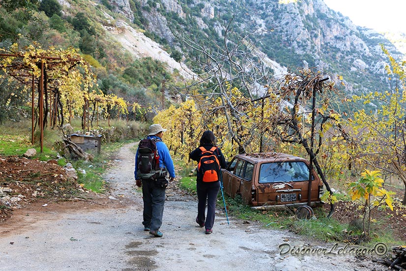 Path Tannourine Tahta