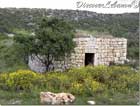 Old house Batroun
