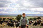 Shepherd in Beqaa