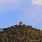 The Lady of the Forest