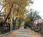 Road Laqlouq in Autumn