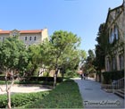American University of Beirut