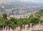 Spring in Bsharri