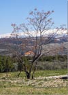 Landscape in the village of Maad