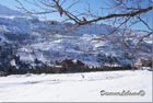 House in Faraya under snow