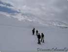 Snowshoeing in Cedars