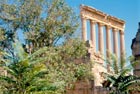 Baalbek in summer
